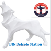 BIN Belsele-Station